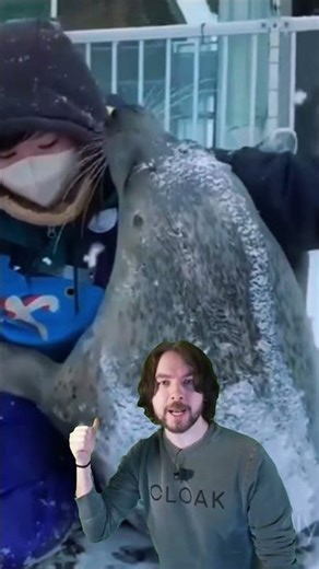 Seal Hugs Human 😭🦭 | Greatest Thing Ever #seal #cute