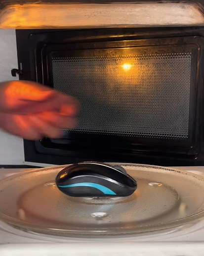 Microwave vs Mouse: A Fun Experiment!