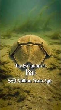 Evolution of Bats 🦇 | How Mammals Learned to Fly (AI Video)