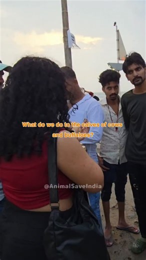 Animal Climate and Health Save Foundation | The Forgotten Victims of Dairy 💔🐂 When we think of the dairy industry, we often picture milk and mothers — but what about the males? 🐂 👉... | Instagram