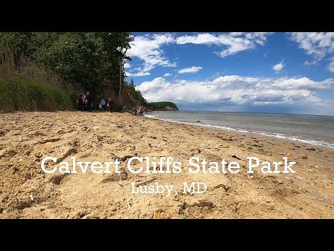State Park Spotlight - Calvert Cliffs State Park