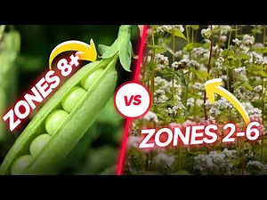 Fall Planting Cover Crops: For Cold Climates