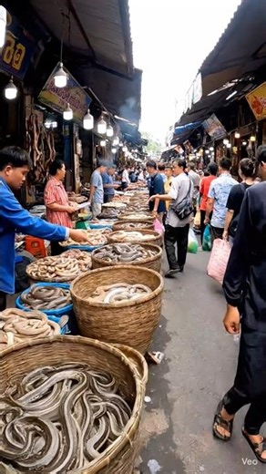 snake meat, #animallife #chinafood