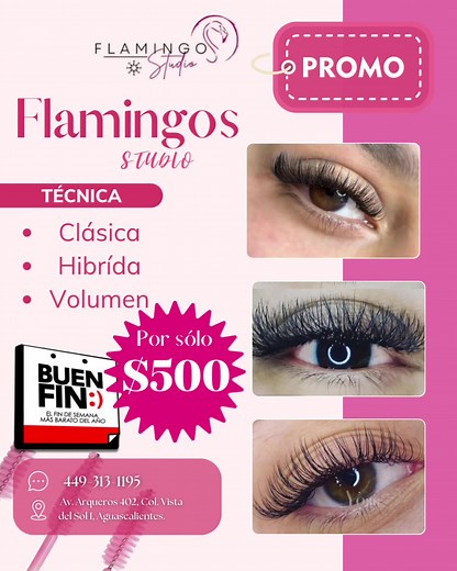 ✨ ¡Tu mirada merece brillar! ✨ Luce unas pestañas de impacto con nuestra promo especial 💖 💫 Técnica Clásica, Híbrida o Volumen 💵 ¡Por solo $500! 📞 449-313-1195 | 📍 Flamingo Studio, Aguascalientes . . . . #PestañasPerfectas #PromoFlamingo #LashLover #Aguascalientes #Promociones