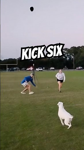 Dog Reenacts Kick Six Rod Bramblett Radio Call! #kicksix#rodbramblett#ironbowl