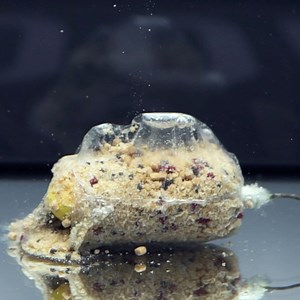 57K views · 825 reactions | The PERFECT Winter PVA bag mix  Maximum attraction, optimum solubility = Moore bites! Check this out and watch these handy top tips on how to use it  #ccmoore #mooremeansmore | CC Moore & Co Ltd | Facebook