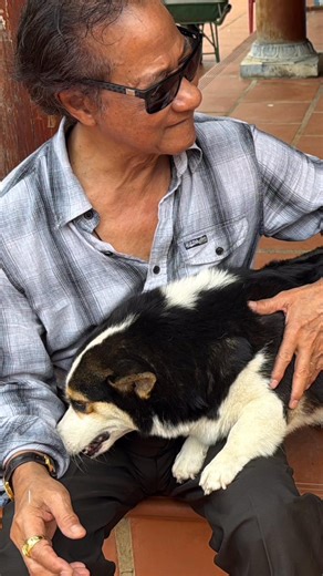 CHẾ LINH | CHUYỆN BÌNH THƯỜNG NHƯNG KHÓ QUÊN https://youtu.be/FYvn2ofm810 #CheLinh | Che Linh