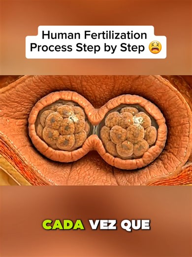 Medical 3D Visualization for Anatomy Education