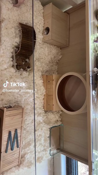 Hamster Cage Setup for Happy Pets