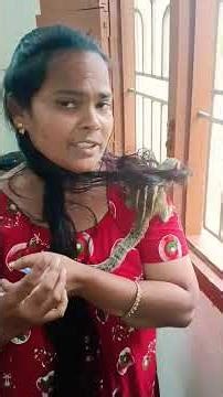 பட்டுவின் முயற்சி