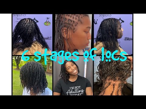 The 6 stages of Locs and what to expect