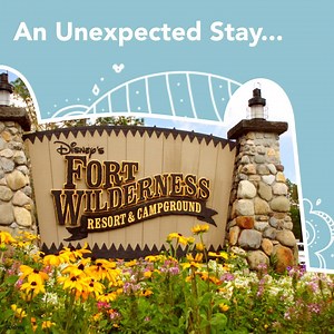 1K reactions · 125 shares | How do you “rough it” in comfort? How about a fully furnished cabin, spacious enough to sleep a family of 6, in the middle of nature and the magic of Disney? | Walt Disney World | Facebook