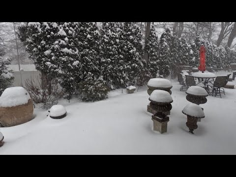 Snow Storm – Timelapse Video