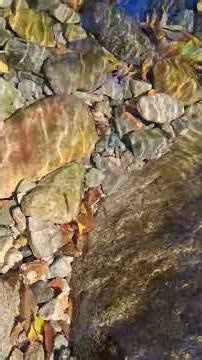 🎵 제목: 심파장 (SIMPASANG) – 마음을 울리는 소리 (자연 힐링 에디션 / E2 STUDIO 2025.11.04 신곡 플레이 Official MV / ASMR