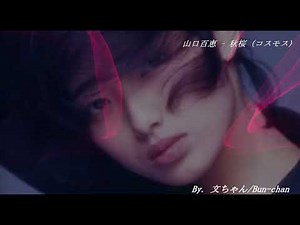 山口百恵！秋桜コスモス！(4k)