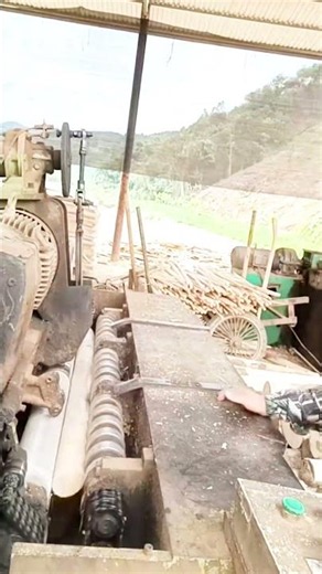 Wood plywood Machines