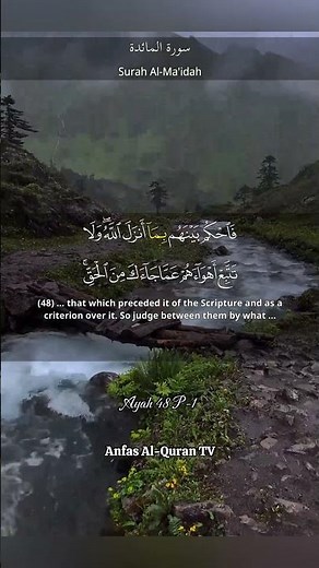 Surah Al-Ma'idah Ayah 48 Pt.1 #quran #quranrecitation #quranforsleep #quranforanxiety #quranverses