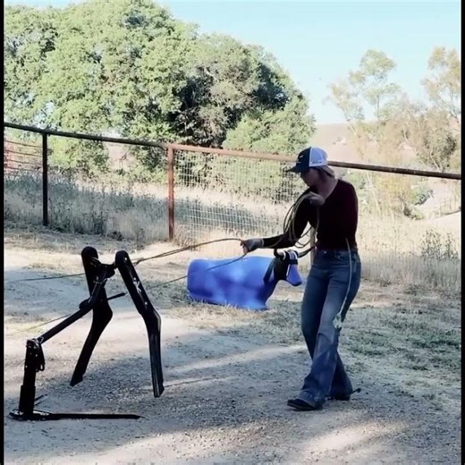 7K Roping - Chelsey Bushnell Shows Off Heeling Skills on the 7K Trifecta Dummy