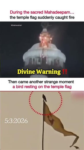 Two Signs at Jagannath Temple? Fire on the Flag & A Bird Above It #jagannath #bhakti #mystery #short