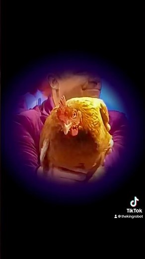 How To Use A Chicken #shortsfeed