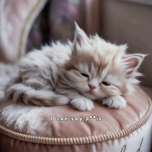 💻 Launch your Shopify store in minutes! All products & design ready to go — just add your name and sell! 📥 Bonus guides: Facebook · TikTok · Dropshipping 🚀 Start today → storeforme.nl | Marian Bogorodea