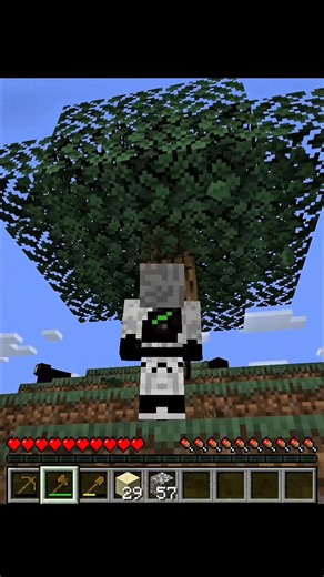 Doing Whatever The Top Comment Says In Minecraft #1