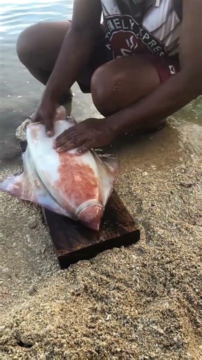 Squid Eats Fresh Fish 🐠😲