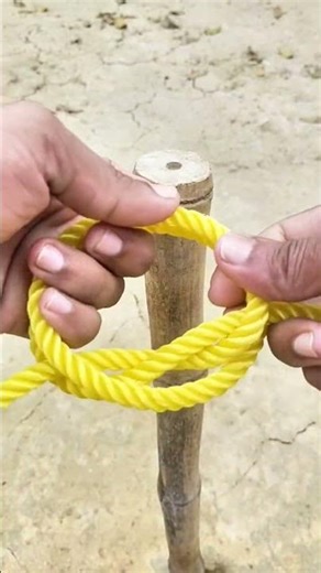Easiest way to tie Constrictor Knot! #knot