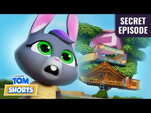 Talking Tom 2026 🤫❓Secret Episode 🌳🏠🛠️ Best Episodes Cartoon Collection 🎬