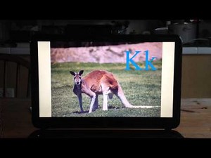 Wiki Jr. Animal Alphabet Book