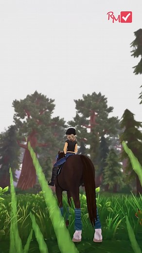 Entdecken Sie das süße Welsh Pony in SSO