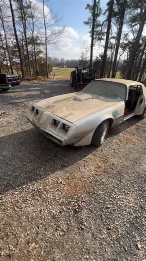 She sat in storage for 28 years, but now it’s time to give her new life! #mccoolauto #restoration #roadstoration #roadstoration #transam | Dylan McCool