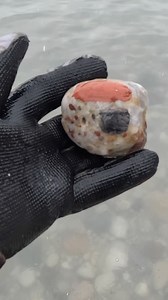 683K views · 21K reactions | I usually tumble puddingstones, but this one was nice enough to do on the cab machine. | Michigan Rocks | Facebook