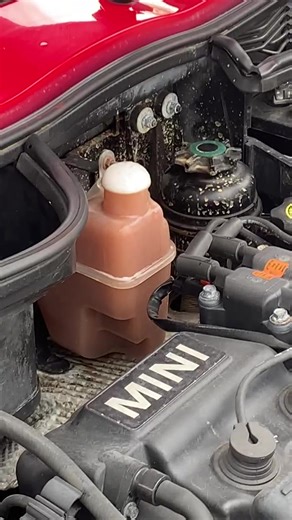 Send help #minir50 #cooper #minicooper #redmini #coolant #overheating
