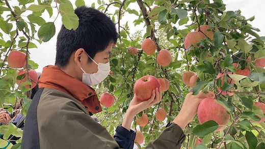 「できない」を「してみたい」に変える。アクセシブルツアーで拡がる旅の楽しみ - OnTrip JAL