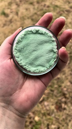 TikTok - Make Your Day