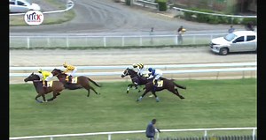 RACE 1 RESULTS : 1 :- Alpine Challenge 2 :- Opaque 3 :- One And All 4 :- Colour Of Money | Mauritius Turf Passionates