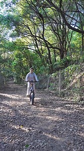 20 inch fat tire electric bike #ebike #ebikelife #ebiketiktok #offroadbike #sportsbike #sportsbikelife #downhillebike #mtb #mtblife #mtblifestyle #mtbforyou | Aimos Factory