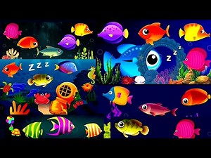 Fish Aquarium🐡 | Peaceful Under Sea💤 | Calming Under Water❤ | Aquarium Animations