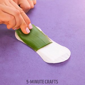 70K views · 113 reactions | Fantastische Aloe Vera Hacks, nicht nur für die Schönheit!: | 5 Minuten Tricks SPIEL | Facebook