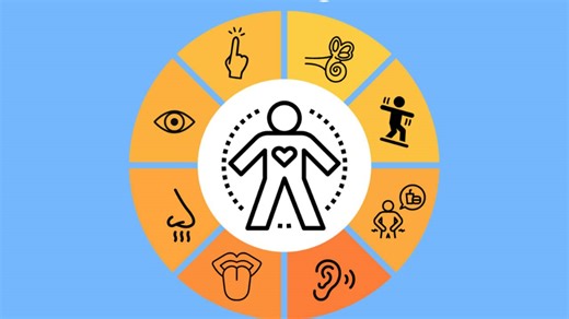 Zebra Sensory Workshop