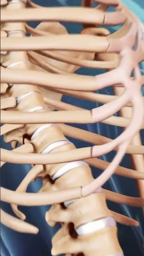 What is a Vertebroplasty Procedure?