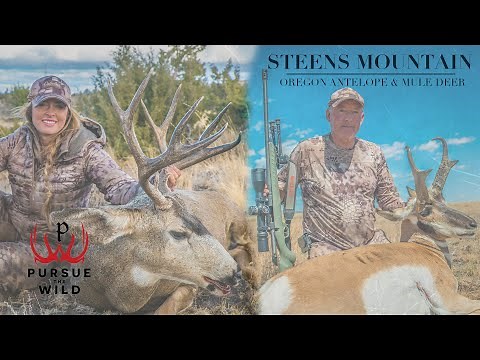 Steens Mountain Oregon Antelope & Mule Deer