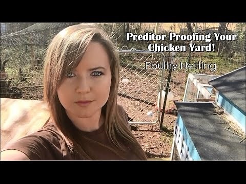Poultry Netting , Predator Proofing Your Chicken Yard