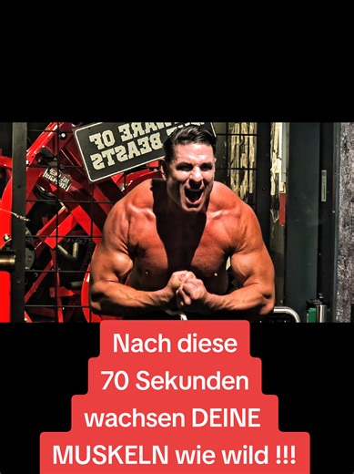 Die meisten trainieren seit Jahren – aber ihre Gewichte sind immer noch gleich. Gleiche Hanteln. Gleiche Wiederholungen. Gleicher Körper. Der Körper baut nur dann Muskulatur auf, wenn er gezwungen wird, stärker zu werden. Das nennt man Progression. Wenn dein Bankdrücken von 60 kg auf 100 kg steigt, wenn dein Latzug von 70 kg auf 120 kg geht, wenn deine Kniebeuge deutlich schwerer wird, dann wächst in der Regel auch deine Muskulatur. Warum? Weil der Körper sich anpasst. Mehr Last = mehr Kraftbeda