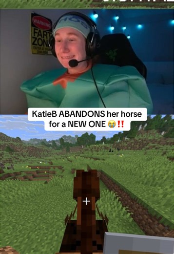 Named both of them Shimmer 😭 (Twitch-RealKatieB) #fyp #katieb #realkatieb #horse #minecraft