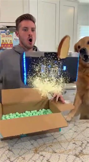 Butter Drone Unboxing Goes Chaotic - Flying Toaster Sprays Kitchen in Wild Review