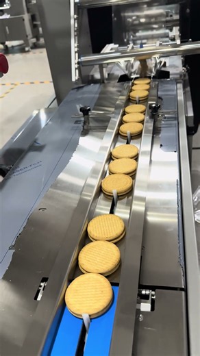 Centrifugal Disk Feeder With Flow Wrapper | Automatic Biscuits Feeding & Pillow Packing Machine