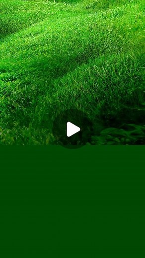 INNISFREE | 이니스프리 on Instagram: "ㅤ 이니스프리의 변화를 상징하는 NEW 제품 디자인을 소개합니다. 두 개의 로고가 연결된 스퀘어 그래픽은 이니스프리가 추구하는 세계인 THE NEW ISLE로 연결되는 포털을 상징합니다. THE NEW ISLE로 떠날 수 있는 가장 쉬운 방법, 이니스프리의 새로워진 제품을 만나보세요. Introducing our NEW product design that embodies the essence of INNISFREE's transformative journey. We have created a square graphic by seamlessly merging our two logos. This design symbolizes the gateway to a whole new world, THE NEW ISLE, which INNISFREE has brought to life. Experience the magic of THE N