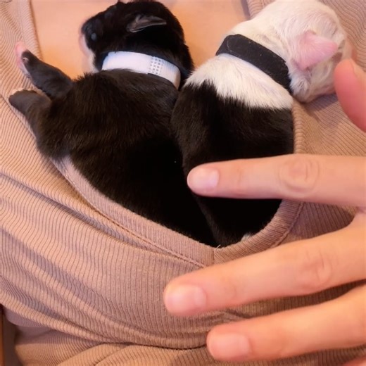 7.5K views | Rachel Fusaro on Reels | Facebook